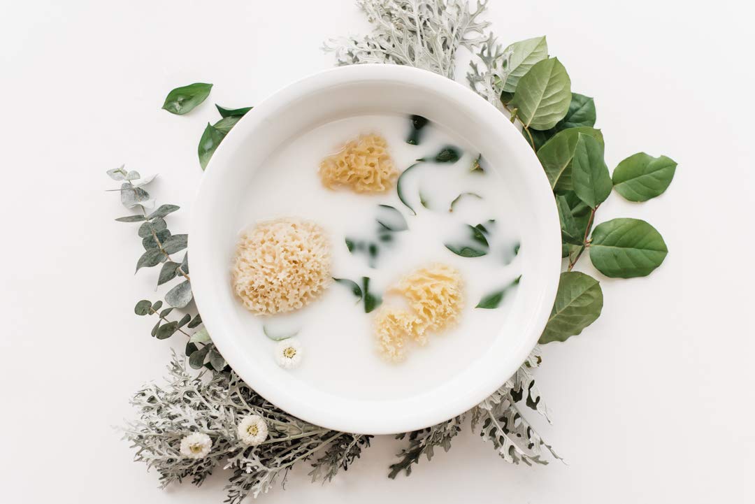 Kyte BABY Natural Sea Sponge Harvested from The Gulf of Mexico, 4 to 5 Inches