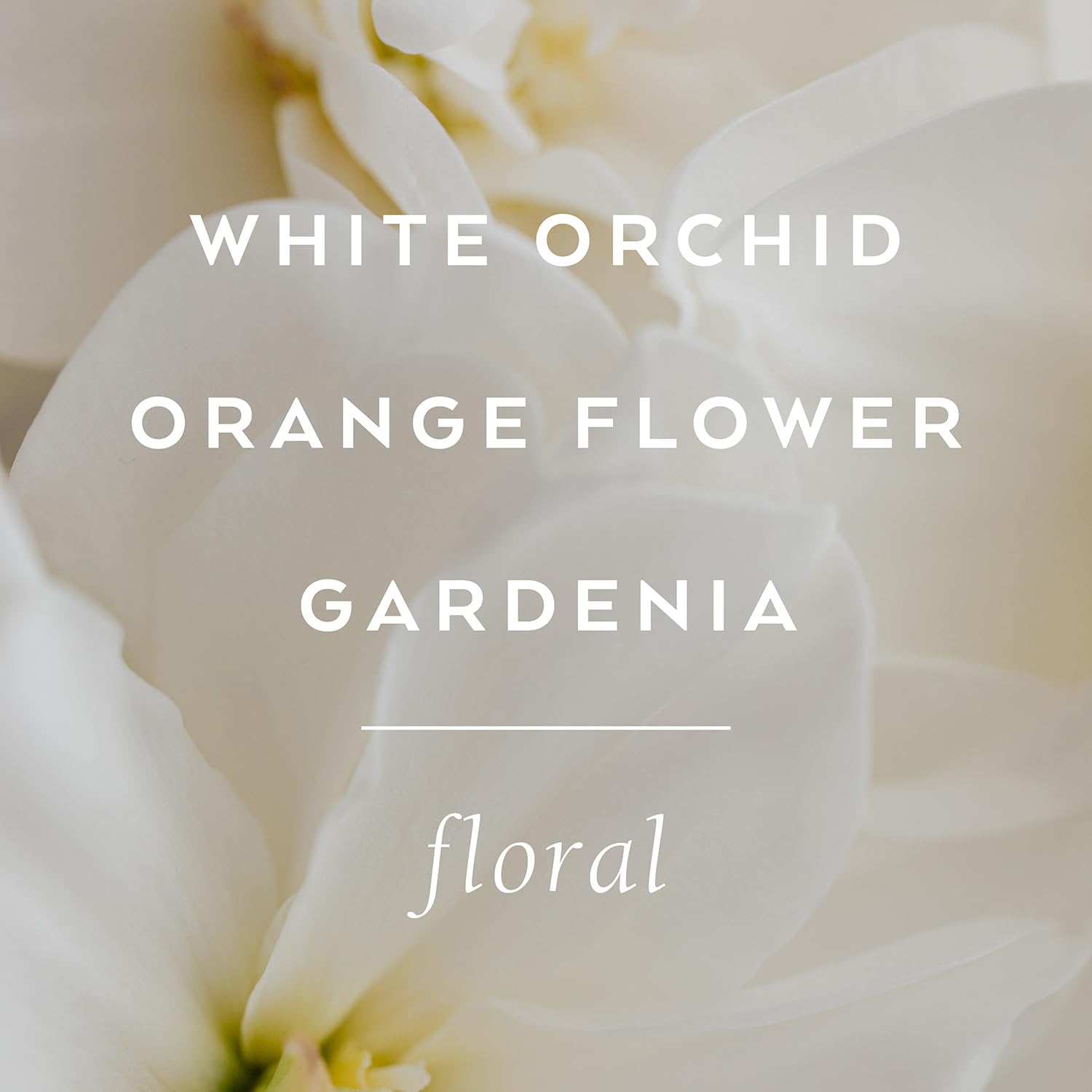 Tokyo Milk Song In D Minor No. 13 Shea Butter Lotion - 2.3 oz