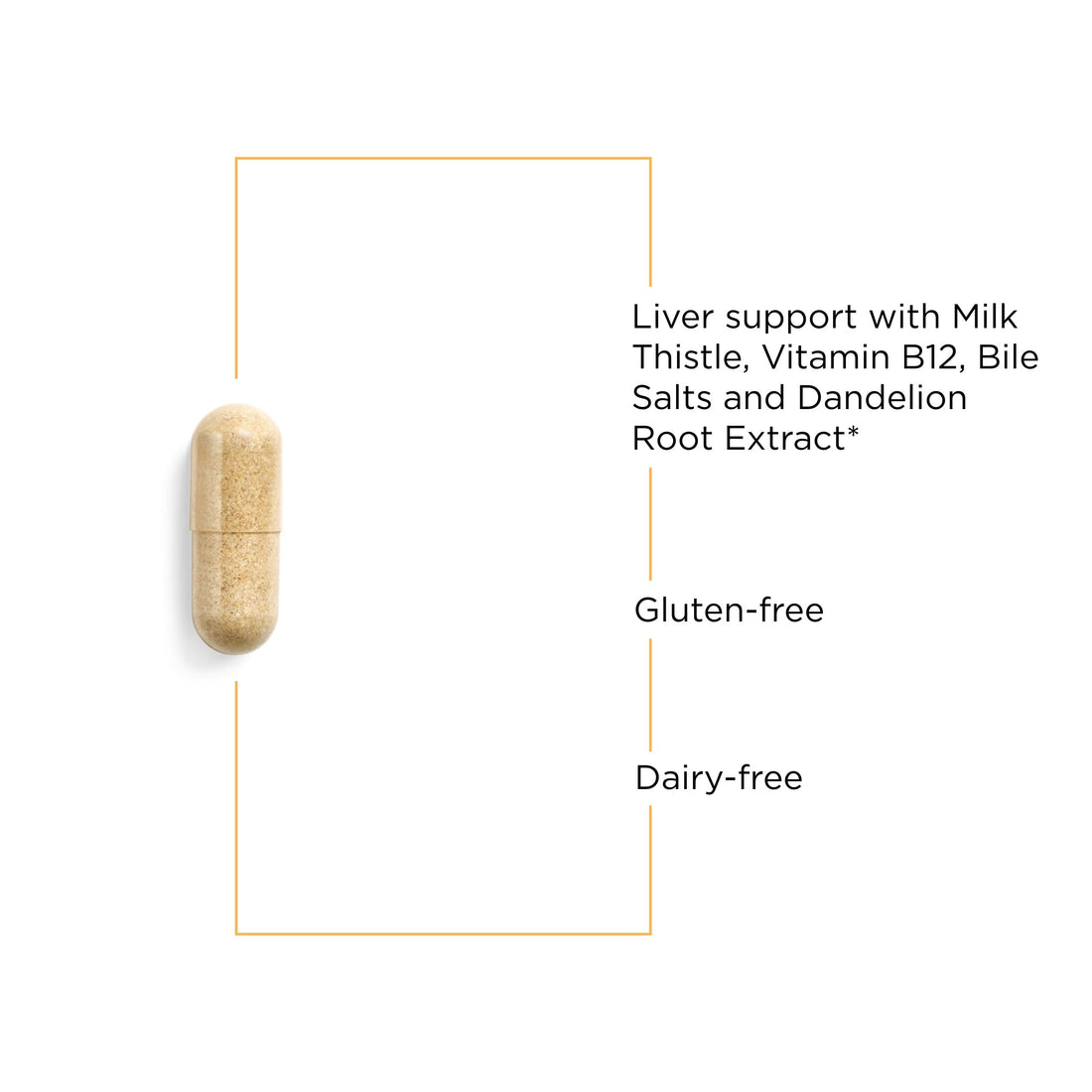 Integrative Therapeutics Lipotropic Complex - Liver Support with Milk Thistle, Vitamin B12, Bile Salts & Dandelion Root Extract* - Gluten-Free & Dairy-Free Liver Health Supplement* - 90 Capsules
