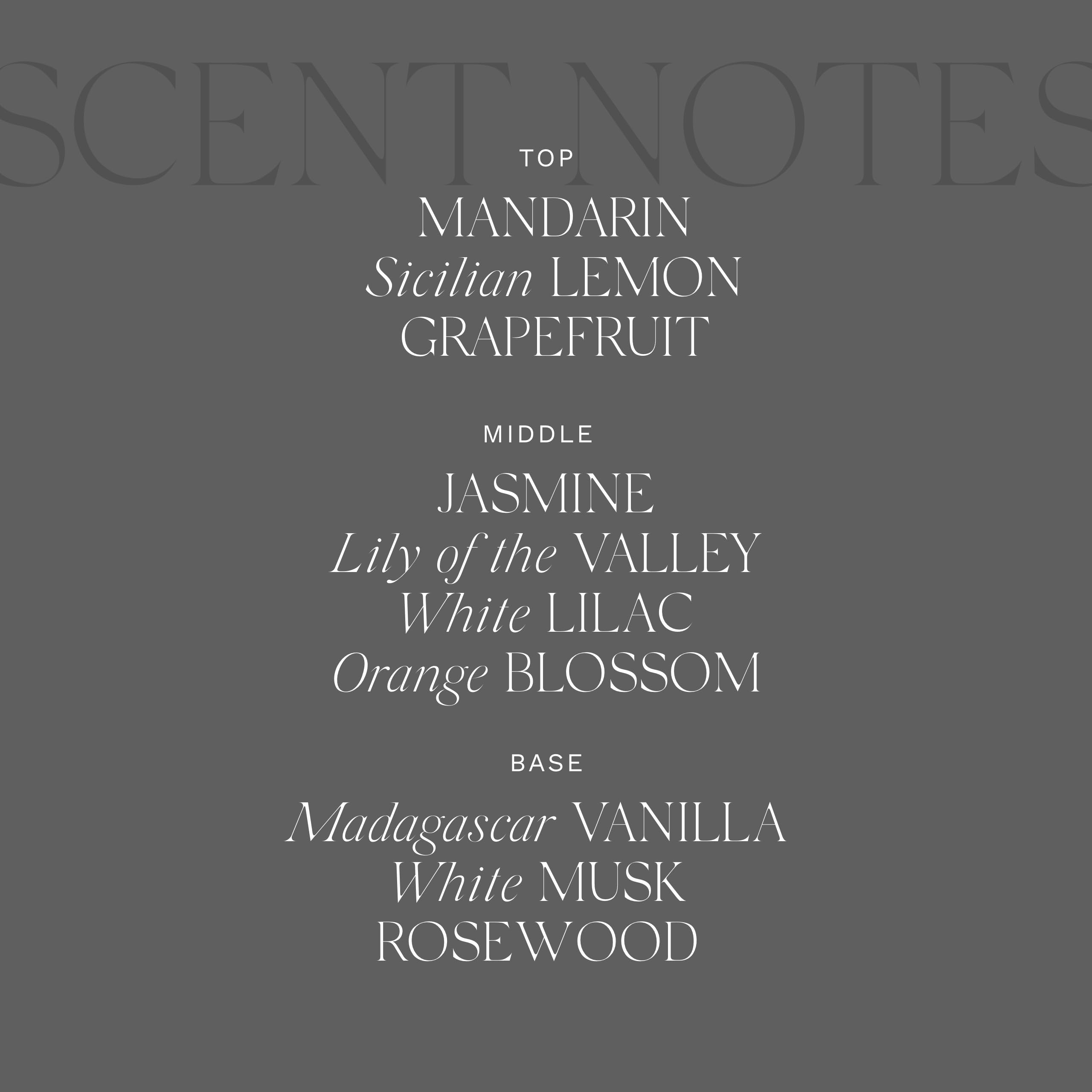 Antica Farmacista Body Moisturizer 10 Oz - Orange Blossom / Lilac And Jasmine