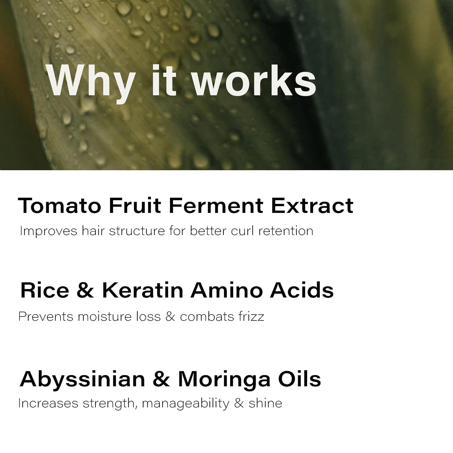 Eufora Perfect Curl Enhancing Conditioner 9.5 Fl.Oz