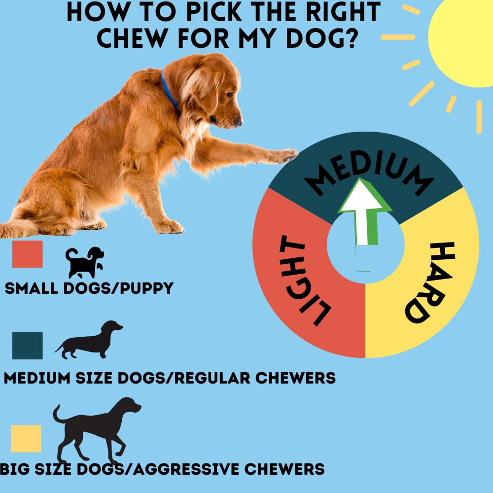 BULLYSTICKS and More - Braided 6 Collagen Sticks (8 Count)