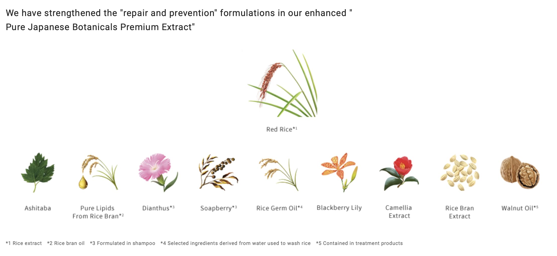 Ichikami Smoothing Shampoo and Conditioner Refill Set, Cherry Blossom Scent, Sulfate-Free, Repairs Dry and Damaged Hair, 330ml Each