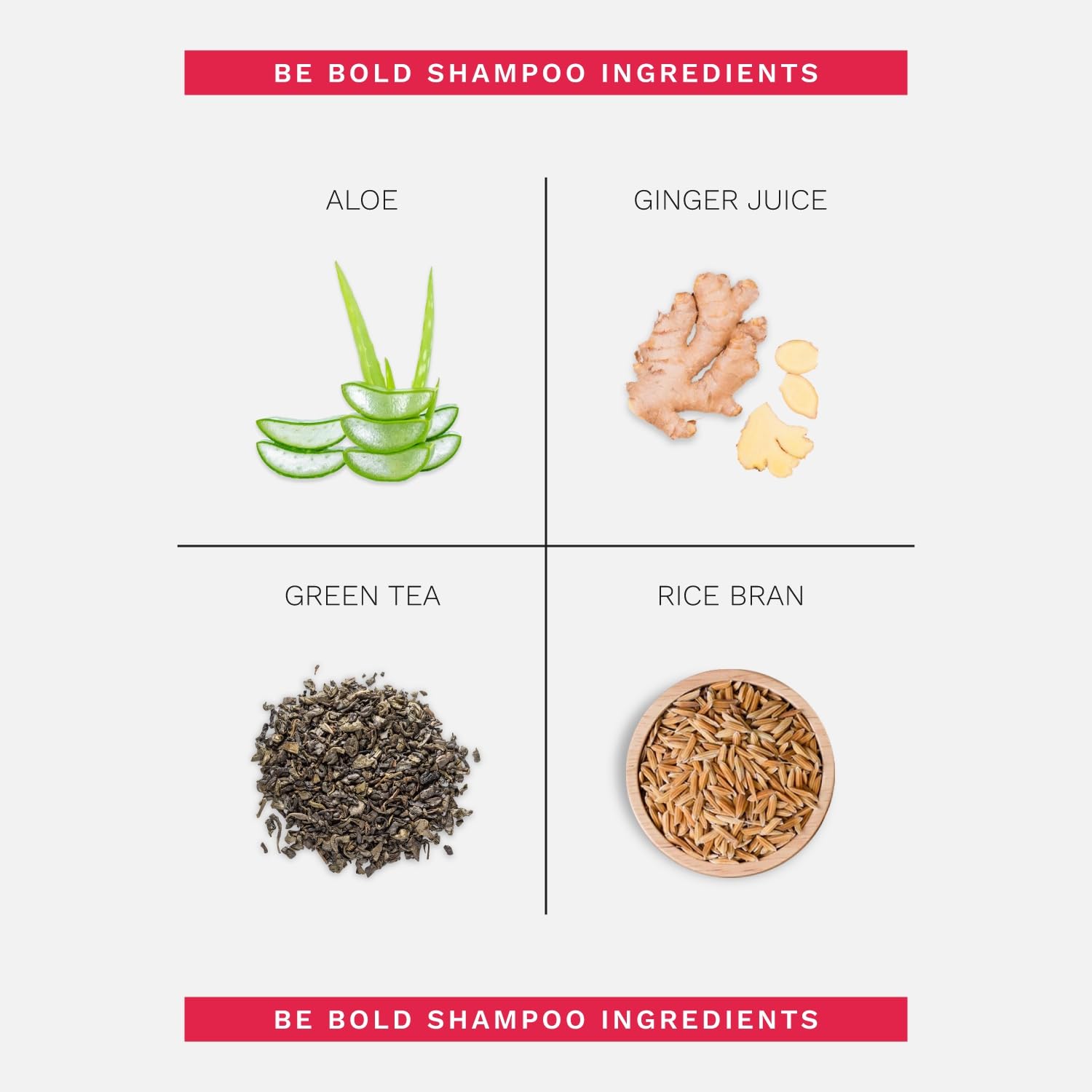 Ginger Milk Natural Care Intensive Repair Shampoo for Dry/Damaged Hair due to Coloring, Chemical Processes, hot styling tools and dryers | BE BOLD (8 oz fl.)