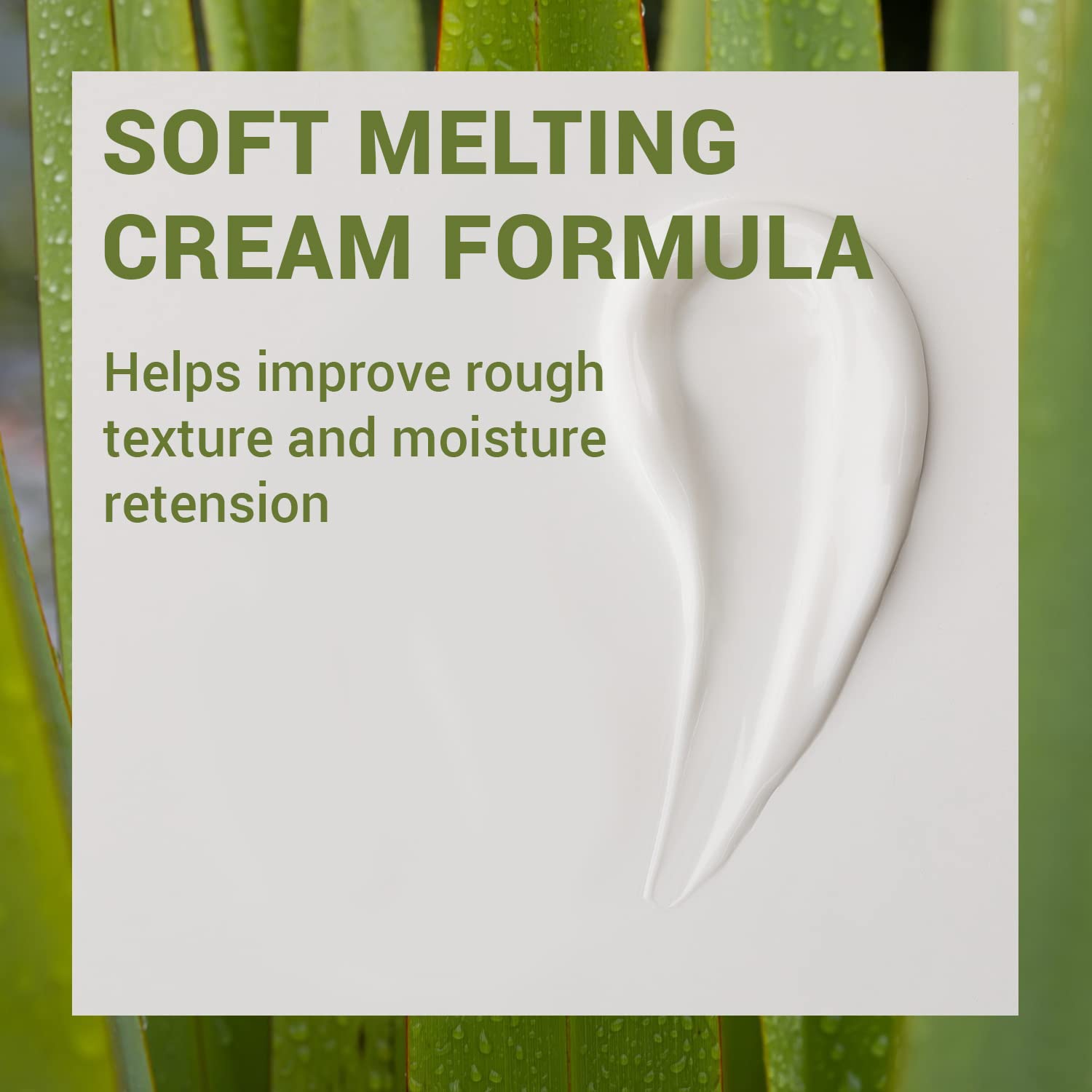 THESAEM Urban Eco Harakeke Cream 1.69oz. – Vegan Face Moisturizer with Harakeke Extracts and Hyaluronic Acid - Soft Melting Texture Facial Cream for Hydration and Intense Nourishment