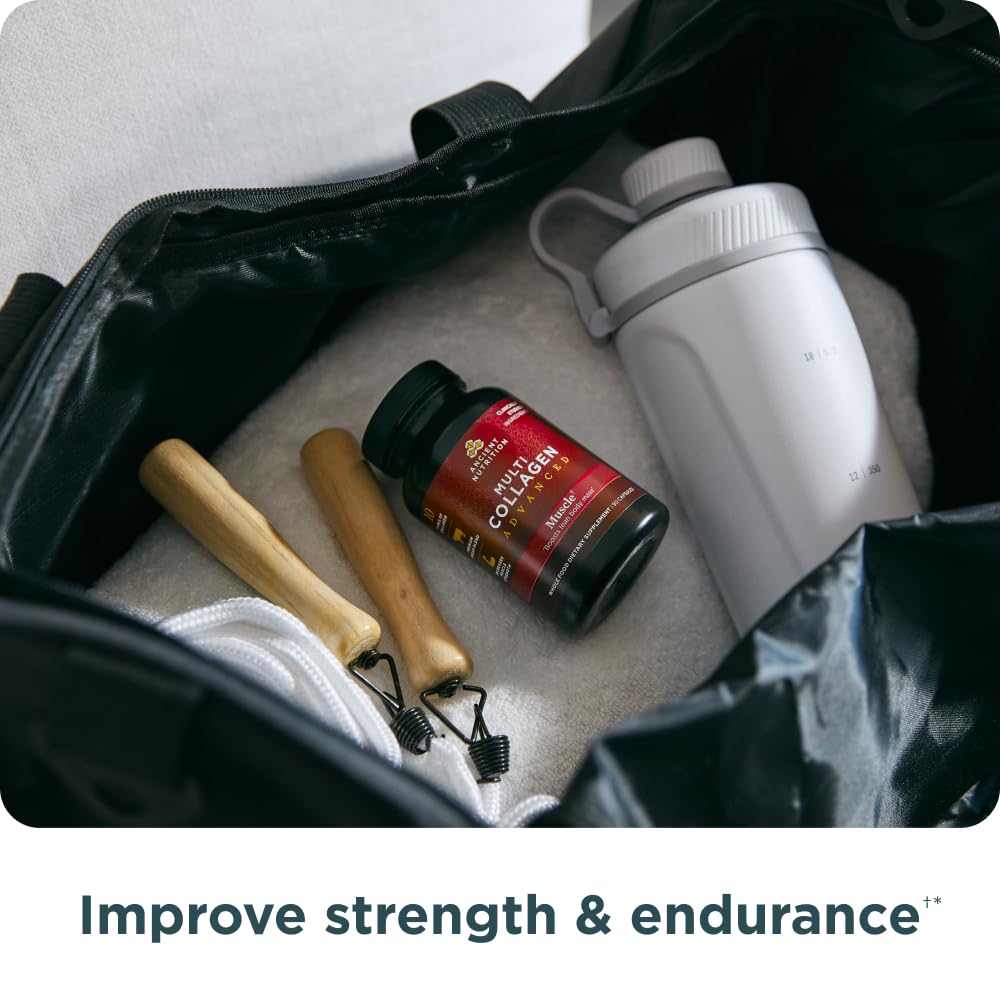 Ancient Nutrition Advanced Collagen Protein Muscle with Probiotics, Hydrolyzed Collagen Peptides Supports Healthy Body Composition* and Muscle Building*, 90 Count