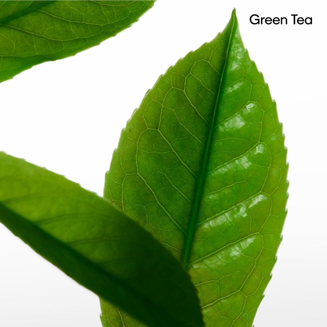 Calvin Klein CK One Unisex Deodorant – With Notes of Green Tea, Bergamot, Cardamom, Violet & Amber