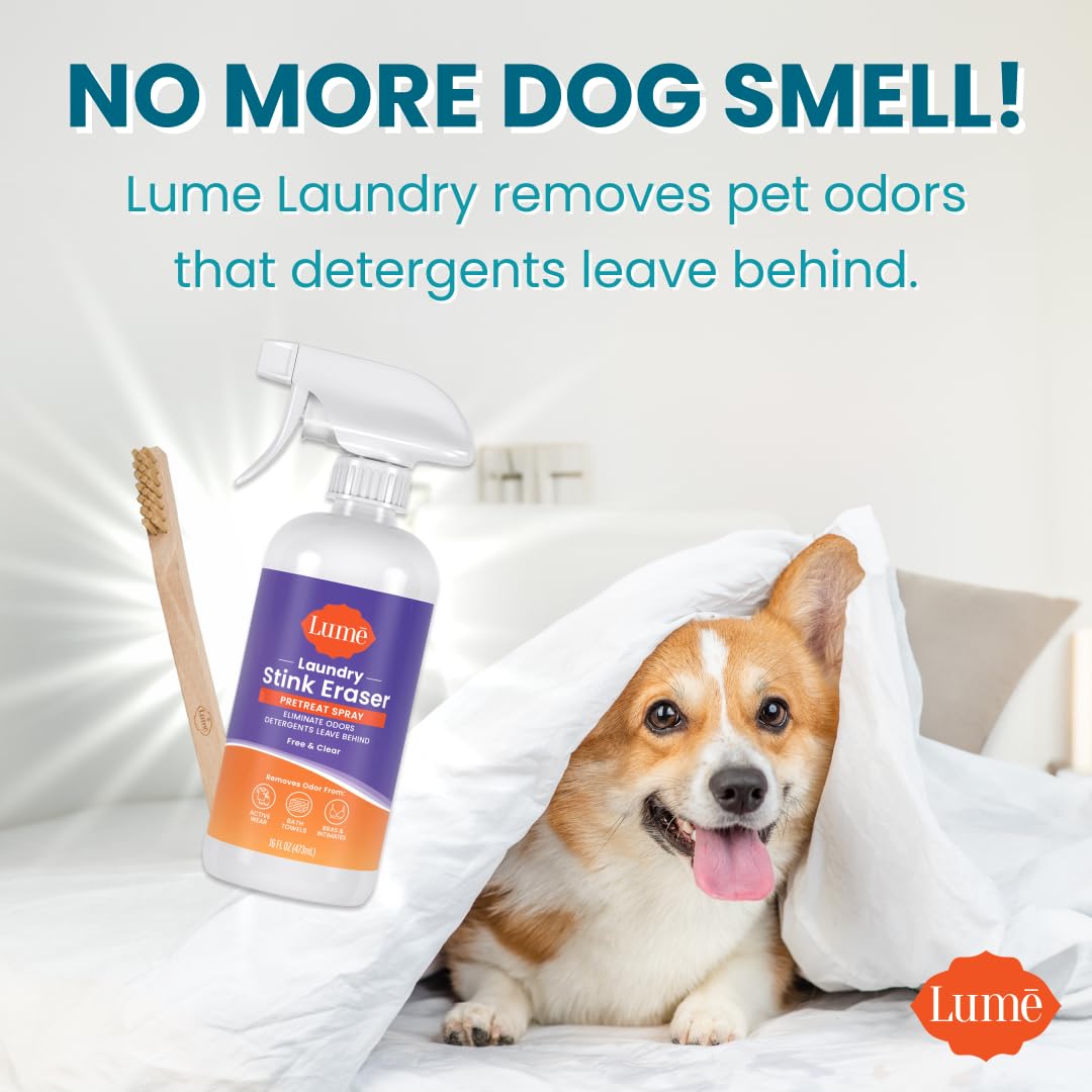 Lume Laundry Stink Eraser - Pretreat Spray & Laundry Brush - Eliminates Body Odor In Clothes - Odor Blasting Enzyme Blend - Makes Your Detergent Work Better - Free And Clear - 16 fluid ounces