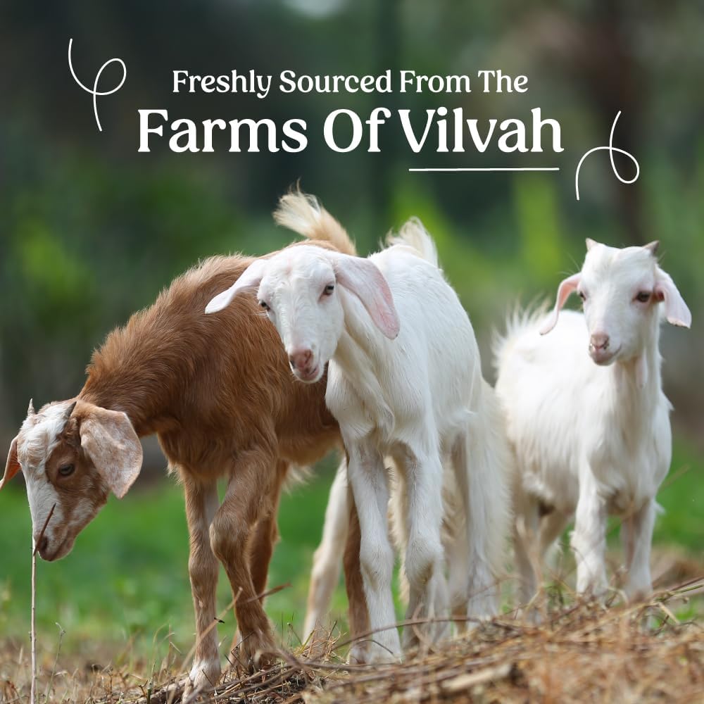 Vegan Vivah Store Goat Milk Shampoo, For Dry & Frizzy Hair with Pea Protein and Goat Milk, Strong & Shiny Hair, No Sulfates, No Paraben, Shampoo For Men and Women, 200ml