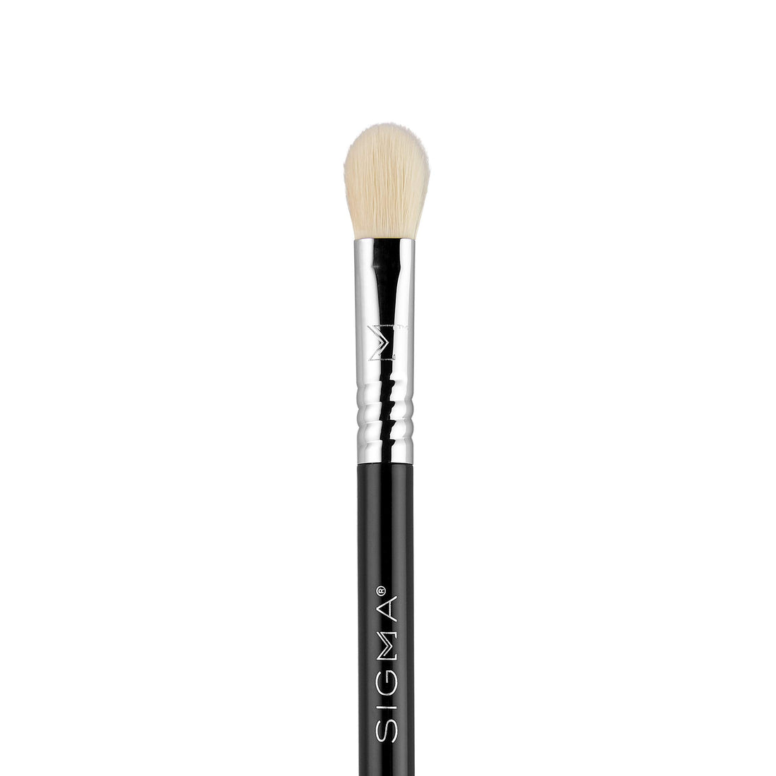 Sigma Beauty Travel Essential Trio Makeup Brush Set for Foundation Powder Eyeshadow, 3 Tool Brushes with Brush Tin Holder, Black
