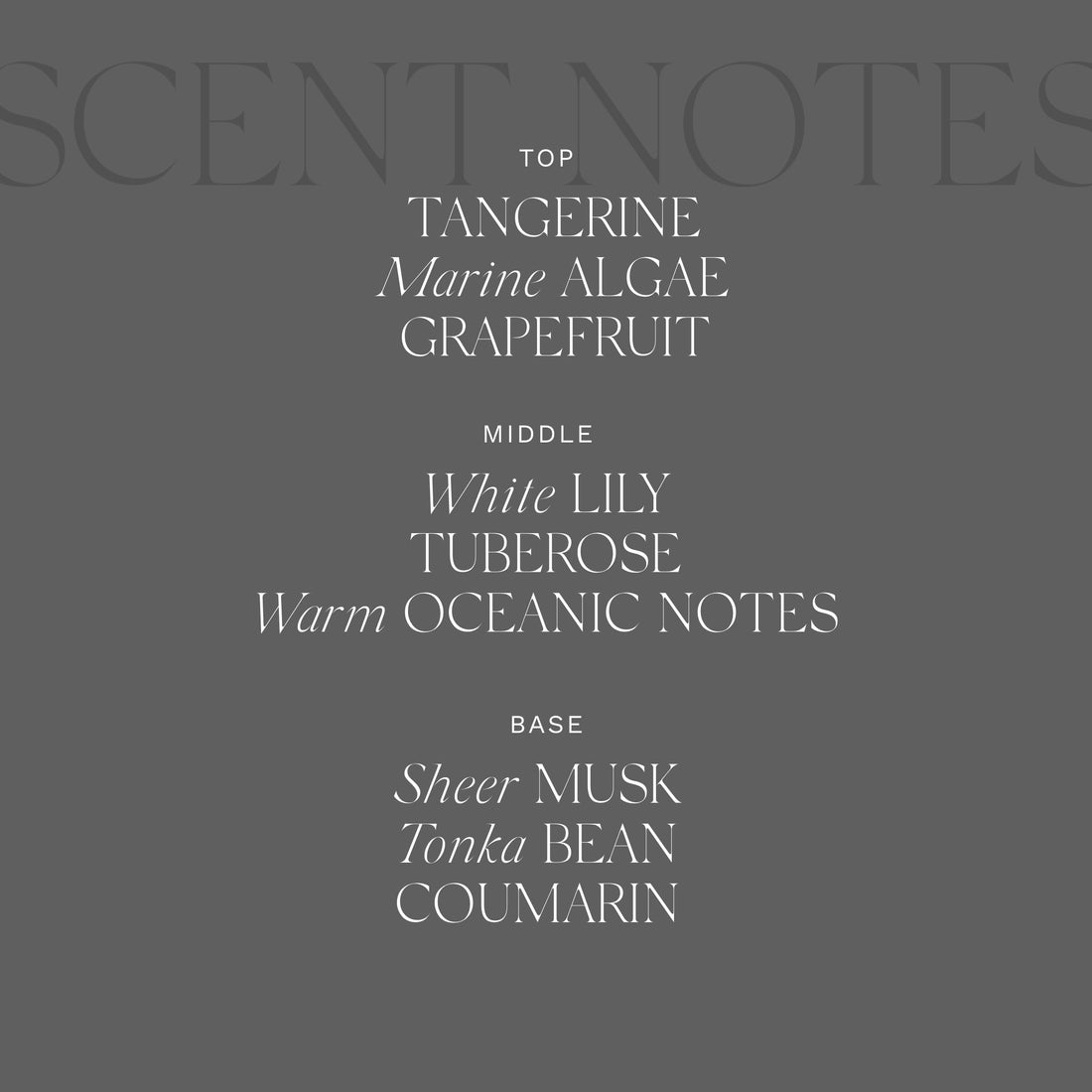 Antica Farmacista Hand Wash