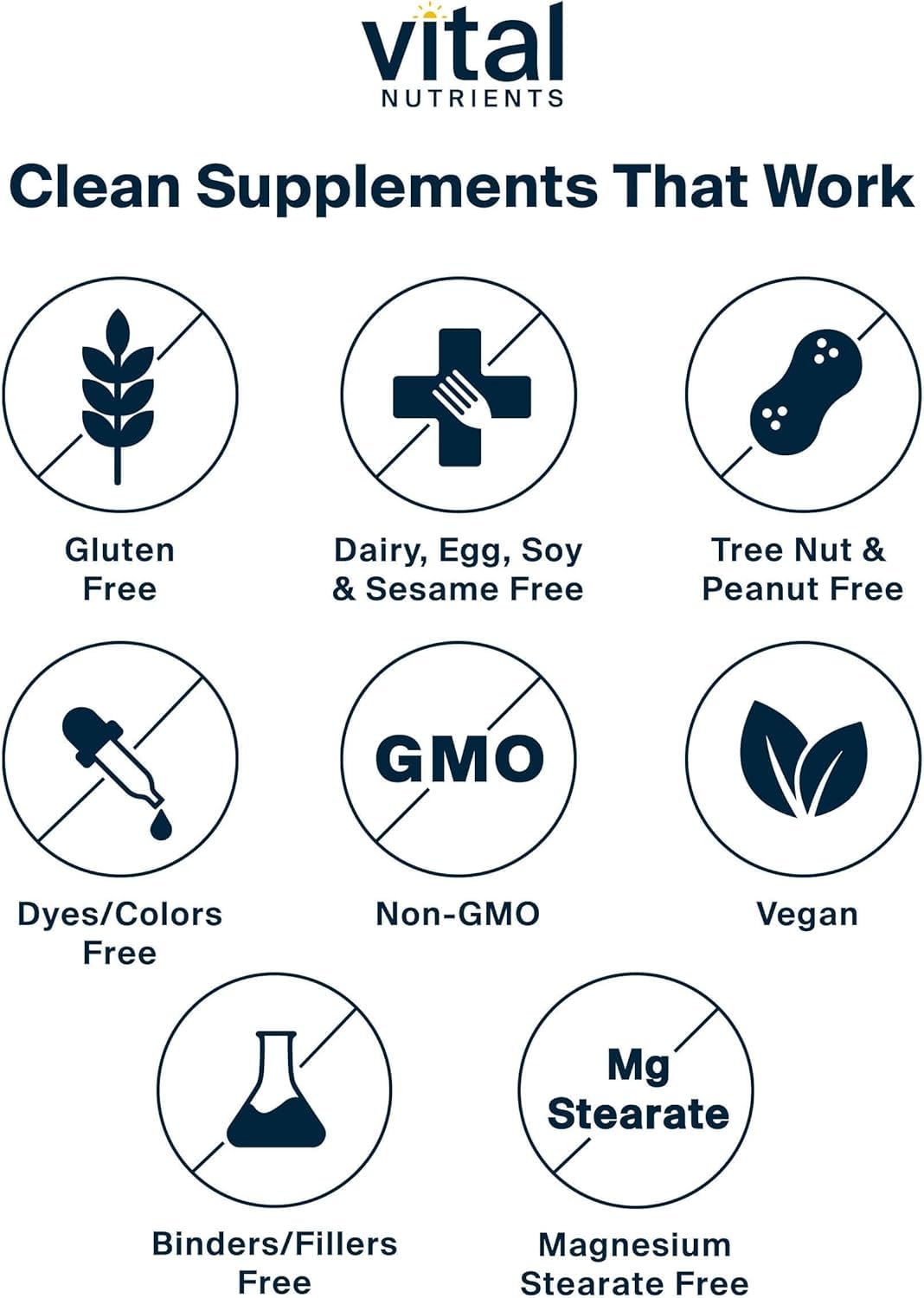 Vital Nutrients Once Daily Multivitamin | Vegan Multi for Women & Men | Allergen-Free | 19 Essential Vitamins + Antioxidants for Eye and Heart Health | Gluten, Dairy & Soy-Free | 60 Capsules