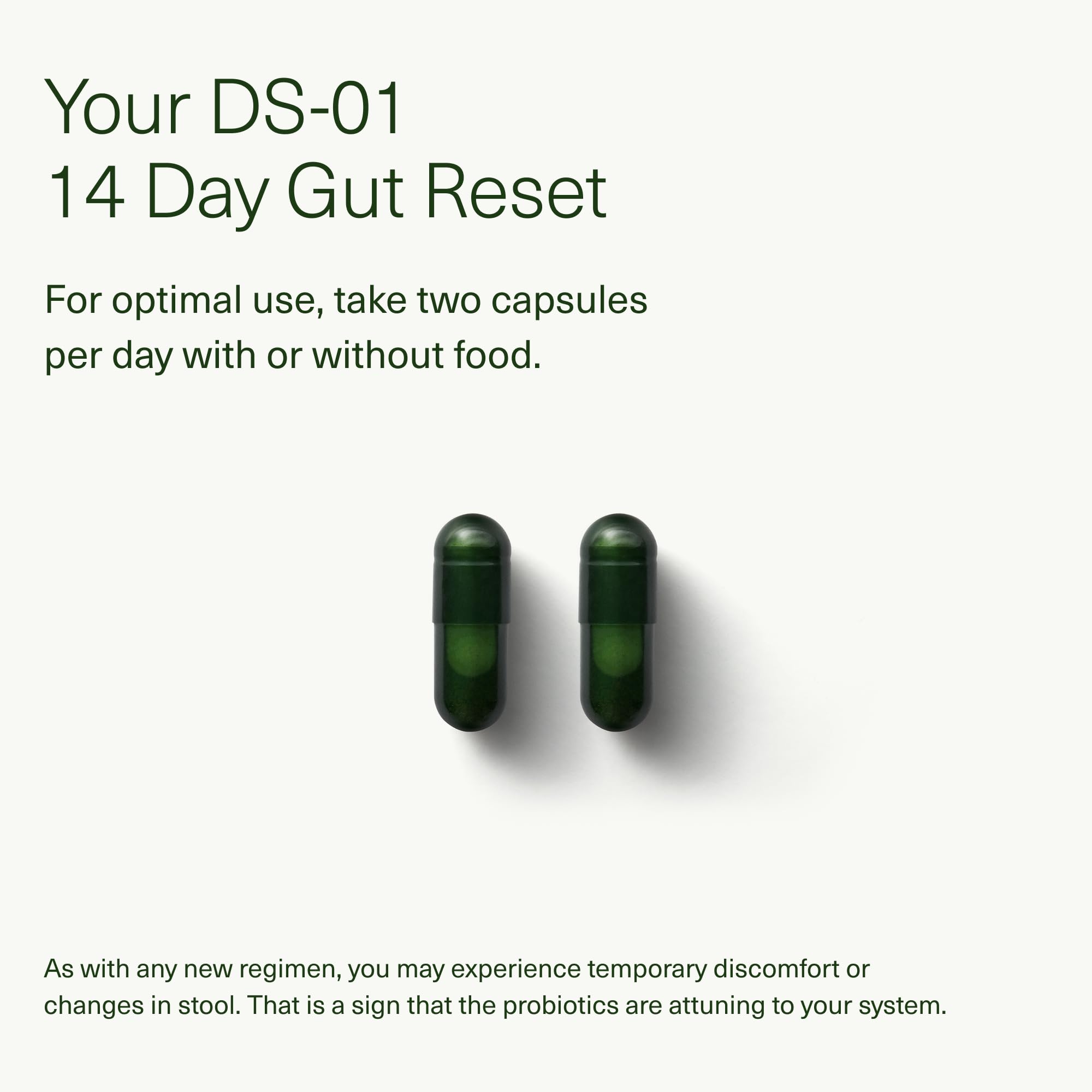 Seed 14 Day Gut Reset - Prebiotic and Probiotic for Women & Men - Digestive Health, Gut Health, Rapid Gut Recovery, Bloating & Constipation Relief - Vegan & Shelf-Stable - 28 Capsules (14-Day Supply)
