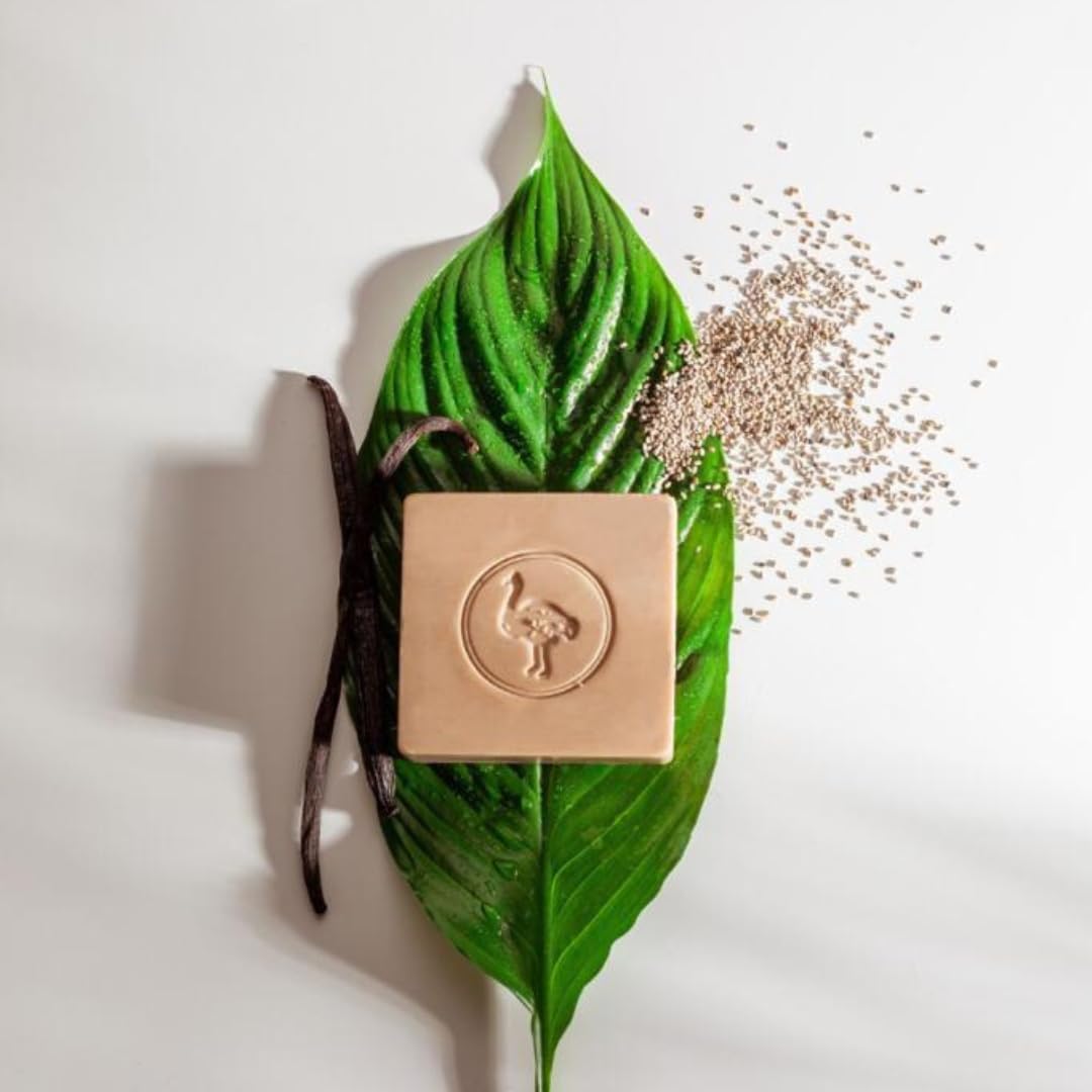 Shammoot Virgin Olive Oil Nabulsi Soap Bar - 1 Pack 4.4 OZ 100% Pure Olive Oil Soap Bar for Face & Body - Traditional Soap with Real Scent - Chemical Free Soap Bar for Men & Women (Shea & Vanilla)