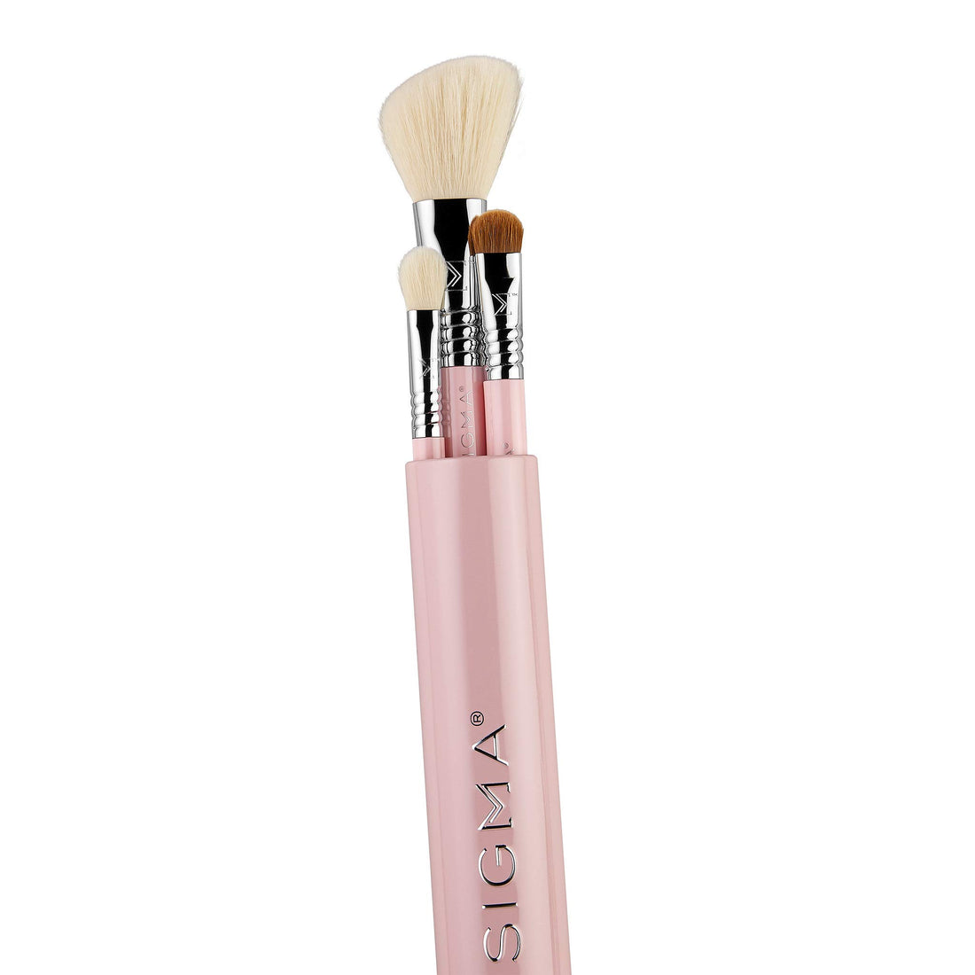 Sigma Beauty Travel Essential Trio Makeup Brush Set for Foundation Powder Eyeshadow, 3 Tool Brushes with Brush Tin Holder, Light Pink