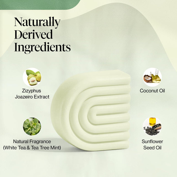 Kitsch Tea Tree & Mint Solid Natural Hair Conditioner Bar for Curly Wavy Fine Hair, Clarifying & Cleansing Organic Conditioner, Hair Color Safe, Zero Waste, Vegan, Eco Friendly, Sulfate Free, 2.7 oz