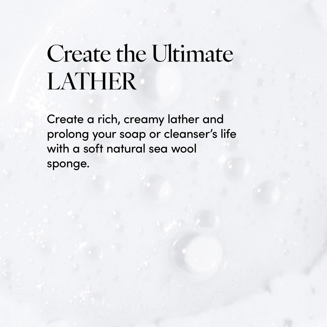 LATHER - Natural Sea Wool Sponge, 5-6 - Organic Exfoliating Body Scrubber - Soft, Gentle Cleansing - Hypoallergenic - All Skin Types - Florida Natural Loofah Sponge - Cruelty Free - Beauty & Skincare