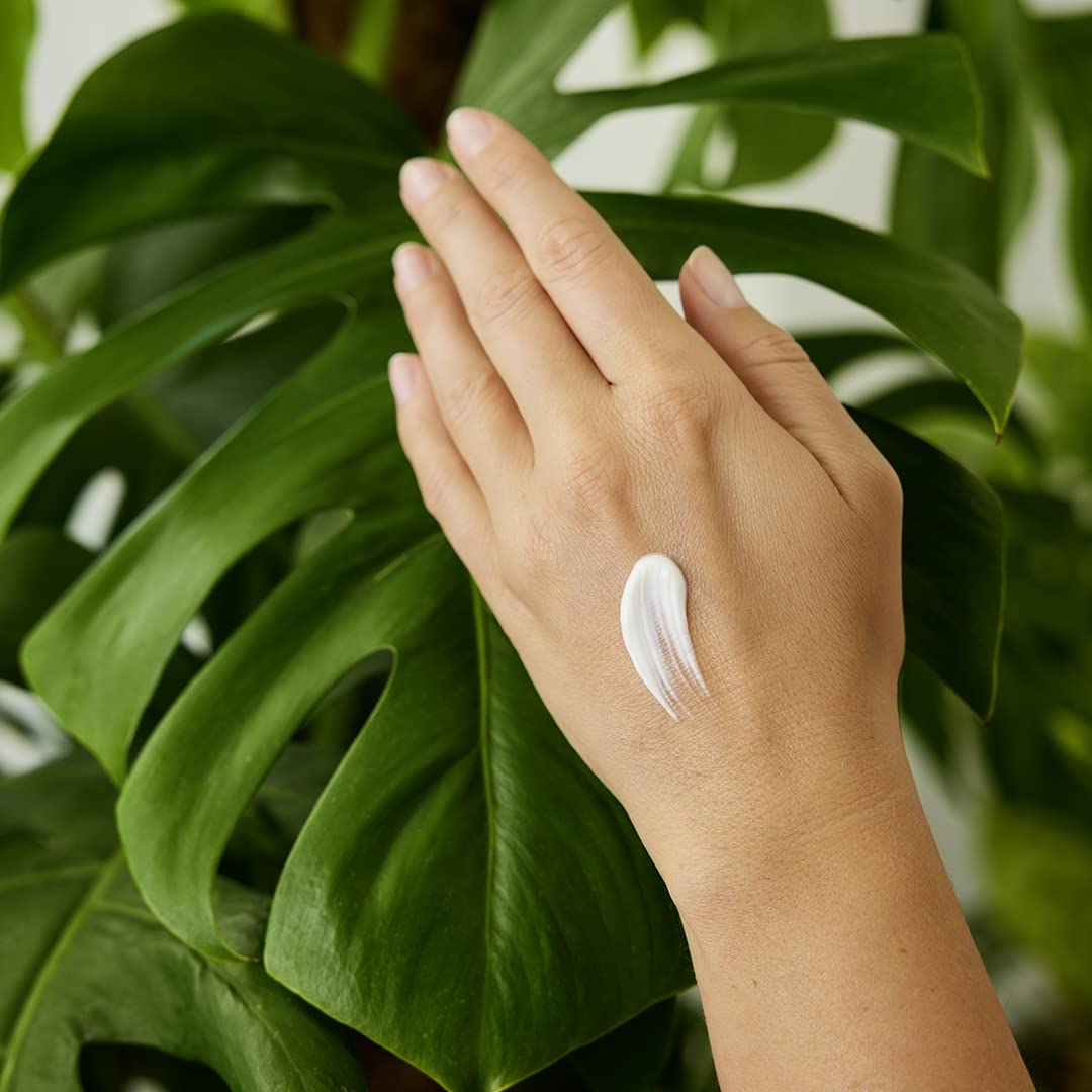 Weleda Sea Buckthorn Hand Cream, 1.7 Fluid Ounce