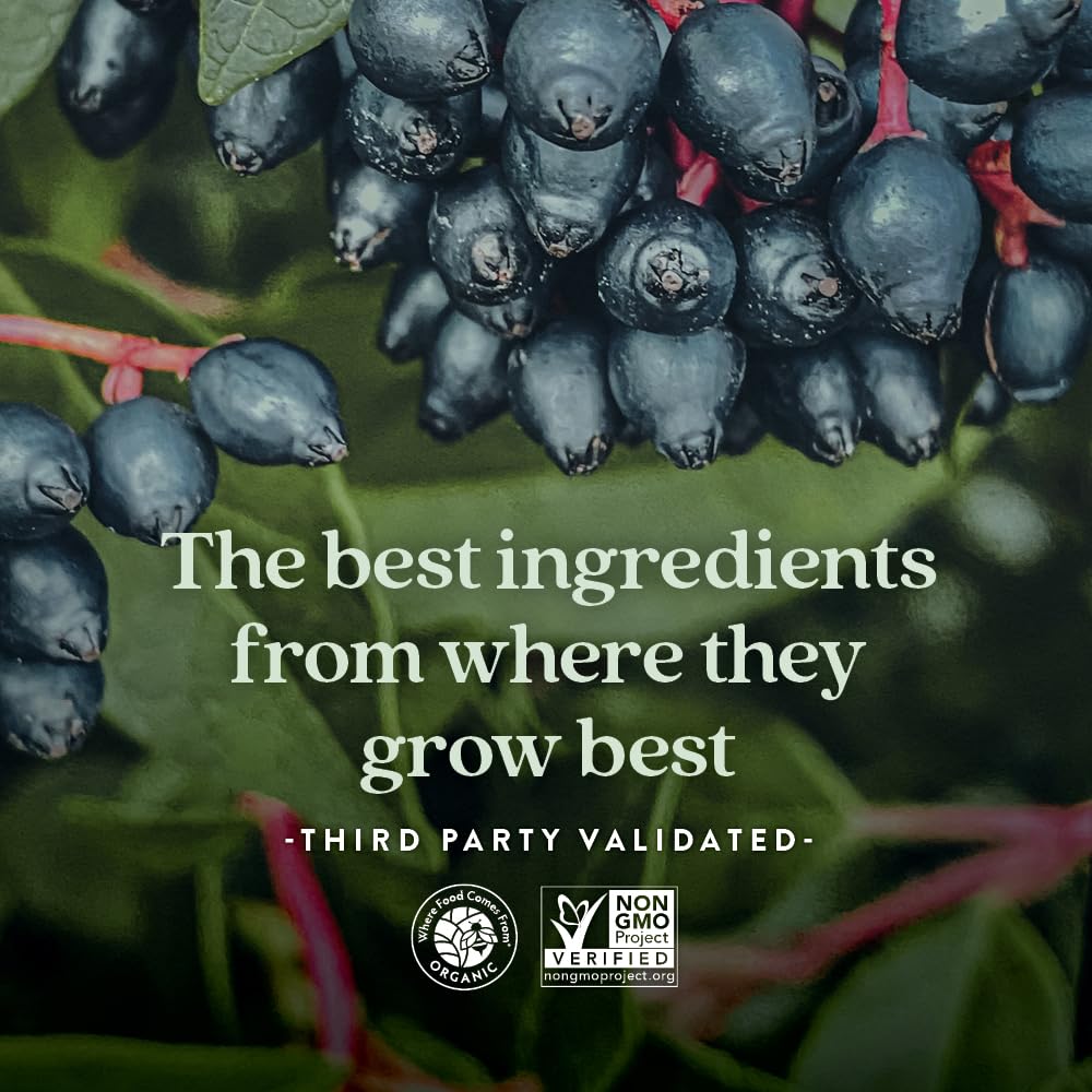 New Chapter Men’s Multivitamin Gummies, 66% Less Sugar, Men’s Gummy Vitamins with Vitamin C, D3 & Zinc, Non-GMO, Gluten Free, Berry-Citrus, 75ct