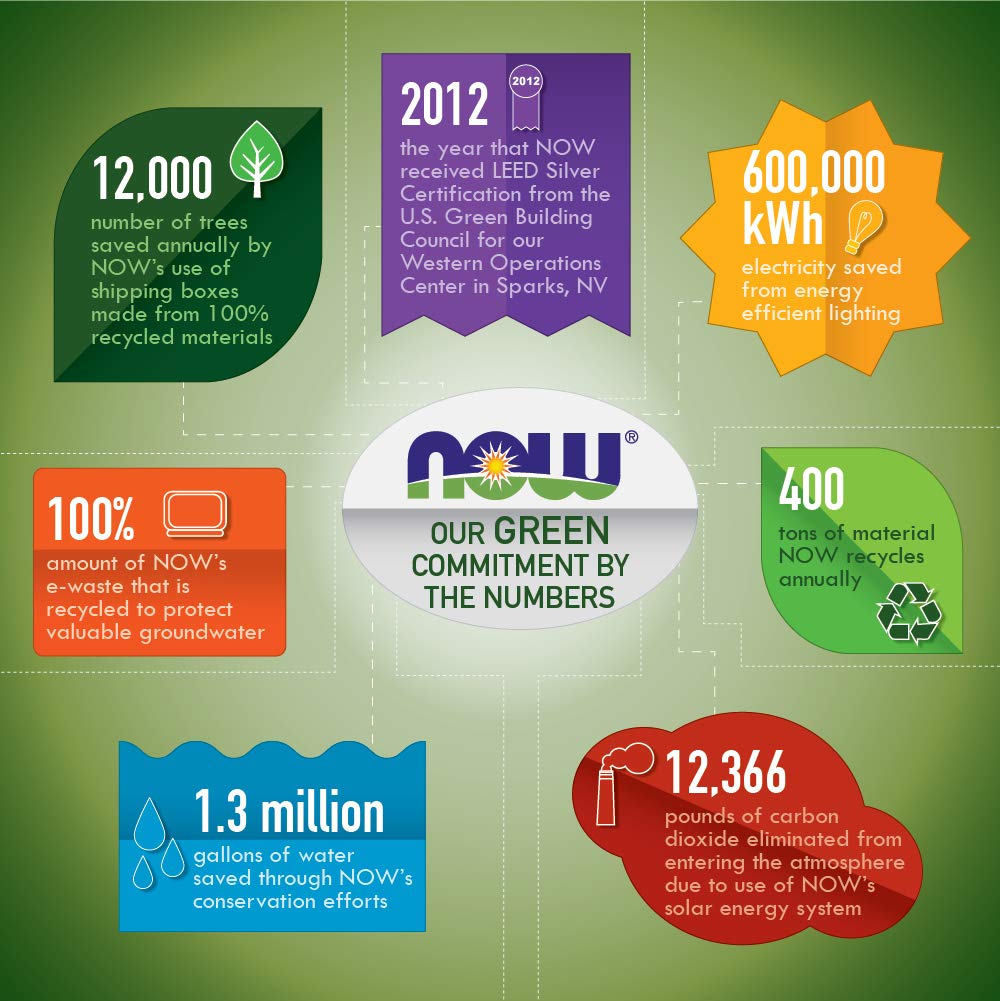 Now Betaine HCl 648mg 240 Veg Capsules - Digestive Enzymes Supplement - Enhanced with Pepsin Protease for Protein Digestion Support