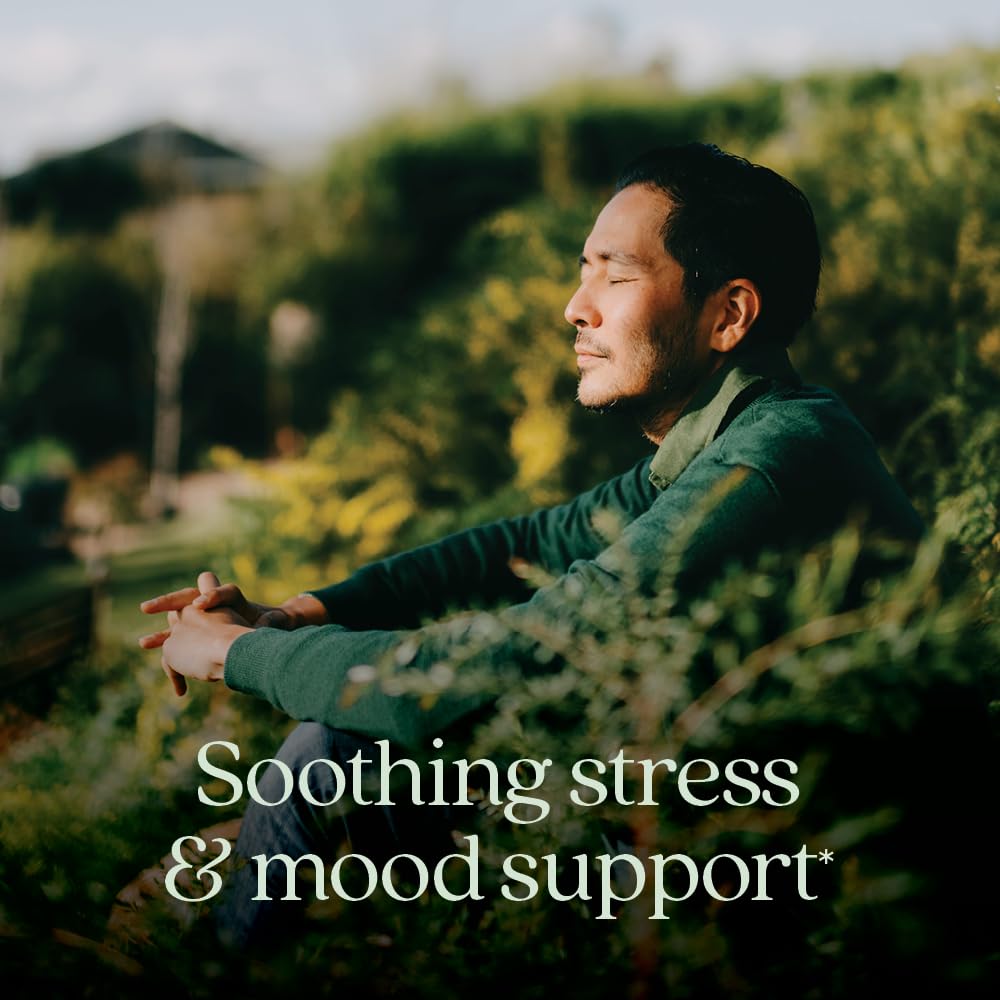 New Chapter Perfect Calm - Daily Multivitamin for Stress & Mood Support with B Vitamins + Holy Basil + Lemon Balm + Organic Non-GMO Ingredients - 144 Count