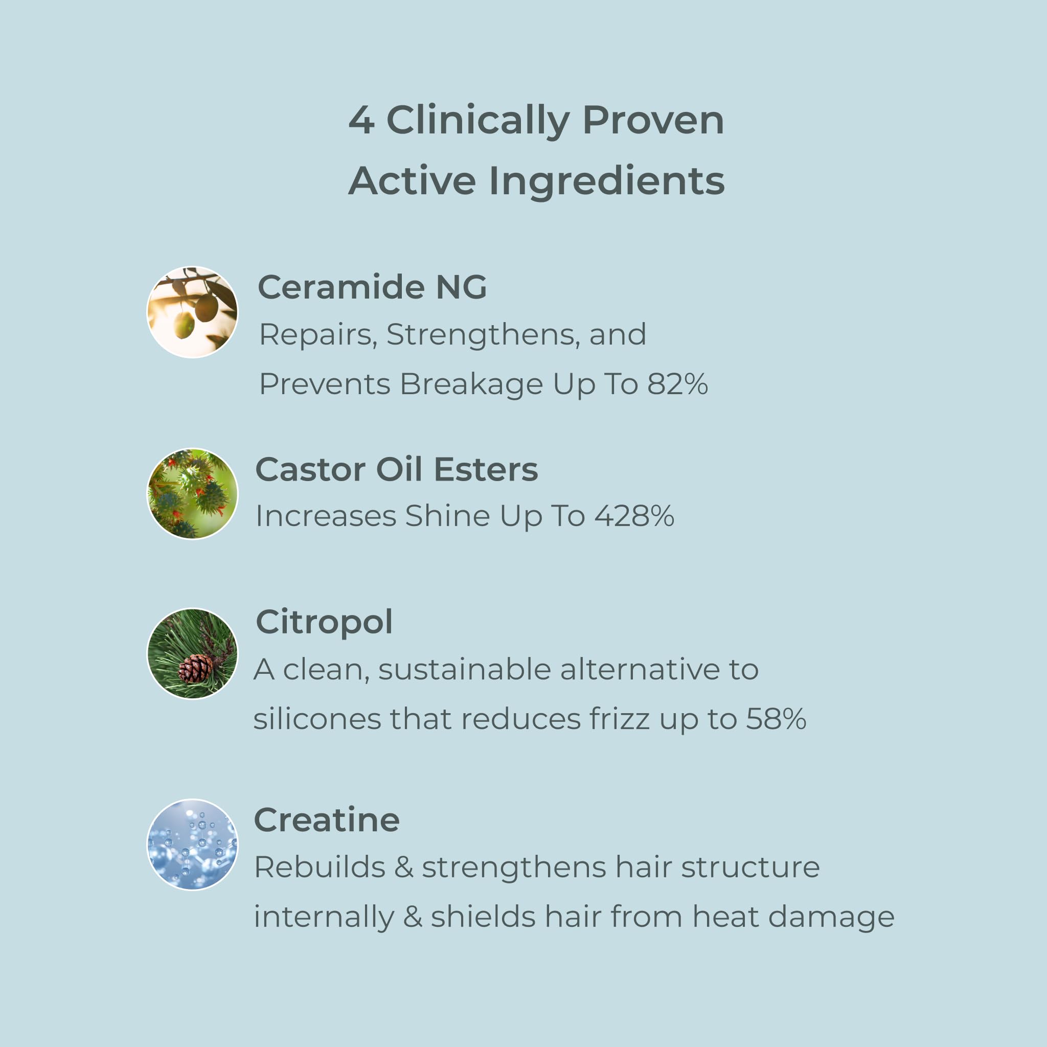 EVOLVh - Better Roots Growth Support Conditioner | Vegan, Non-Toxic, Clean Hair Care (6 fl oz | 177 mL)