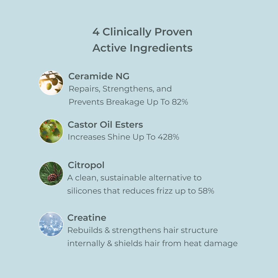 EVOLVh - Better Roots Growth Support Conditioner | Vegan, Non-Toxic, Clean Hair Care (6 fl oz | 177 mL)