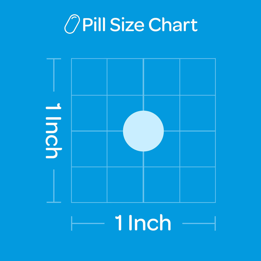 Puritan's Pride Vitamin K 100 mcg Supports Bone and Joint Health, 100 Count