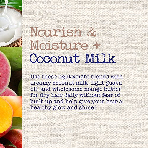 OGX Nourish & Moisture + Coconut Milk Weightless Oil Mist, Leave-In Spray Treatment to Help Defrizz, Hydrate & Replenish Curly Hair, Vegan, Silicone & Paraben-Free, 4.2 fl oz