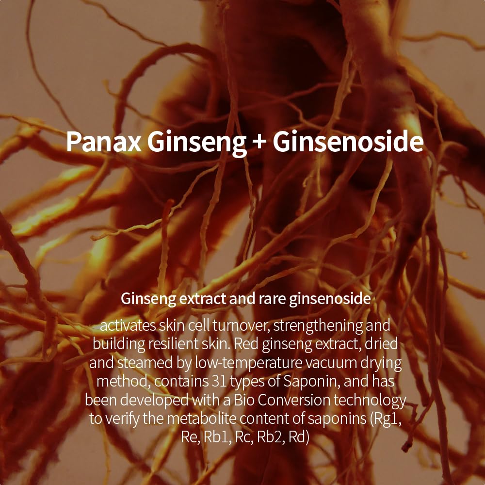 Fraijour Alchemic Ginsenoside Contour Eye Serum – Targeted Eye Treatment for Dark Circles, Fine Lines & Puffiness, With Ginsenoside & Phytochemicals, Hydrating & Firming, 0.85 fl. oz.