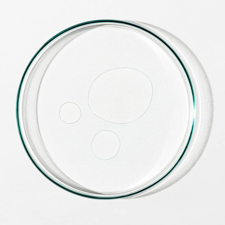 Grown Alchemist Balancing Toner - Rose, Ginseng & Chamomile - Pore Perfecting Toner with Vitamin C, Clean Skincare (200ml / 6.76oz)