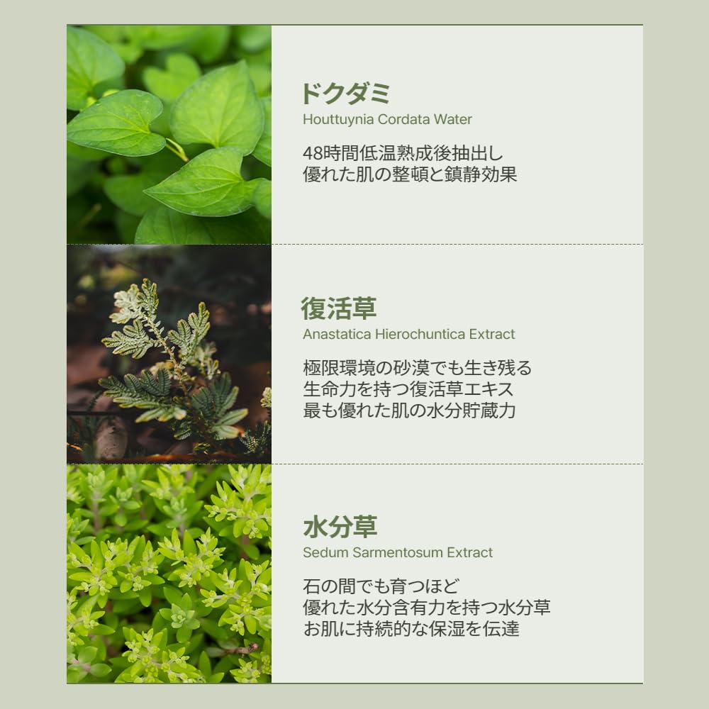 JMsolution Heartleaf 88 Toner - 88% Heart Leaf Water, Hydration and Soothing, Pore Care, Non-Sticky, Multi-Layer Absorption