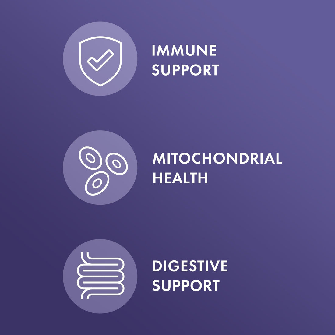 Dr. Mercola Full Spectrum Enzymes, 30 Servings (90 Capsules), Dietary Supplement, Supports Immune and Digestive Health, Non-GMO