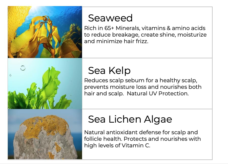 Saltie by 30A Leave-In Conditioner, 8.5 fl. Oz/250ml - Seaweed, Kelp & Algae Enriched Detangle & Shine Hair Treatment -Ideal For Frizzy and All Hair Type , Protects Scalp