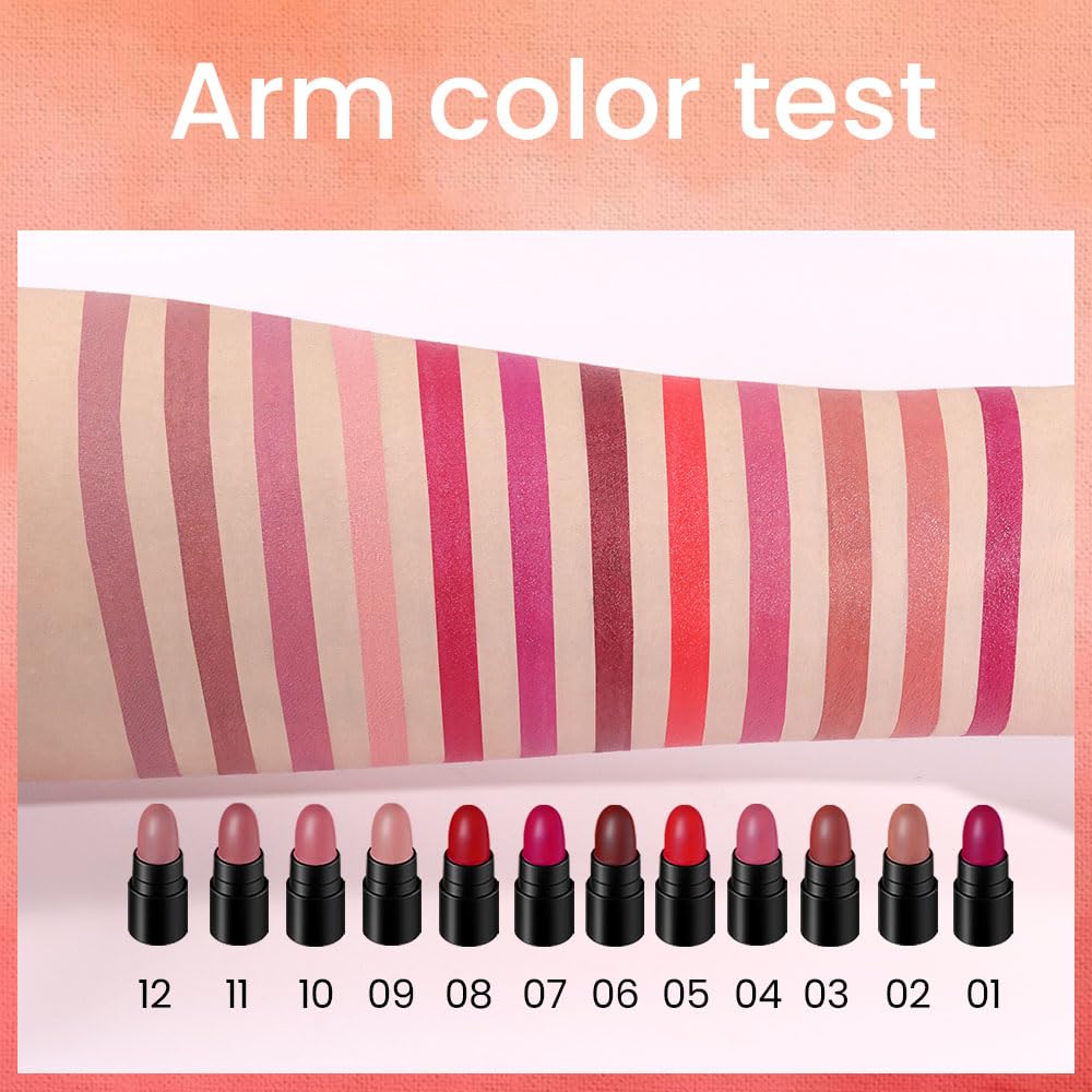 EVPCT 12Pcs Mini Pills Lipstick Capsule Set for Women - Waterproof Long Lasting Matte Small Magic Permanent 24 Hour Lipstick - Dark Ruby Plum Rose Red Nude Pink Mauve Taupe Brown Bulk Samples 01