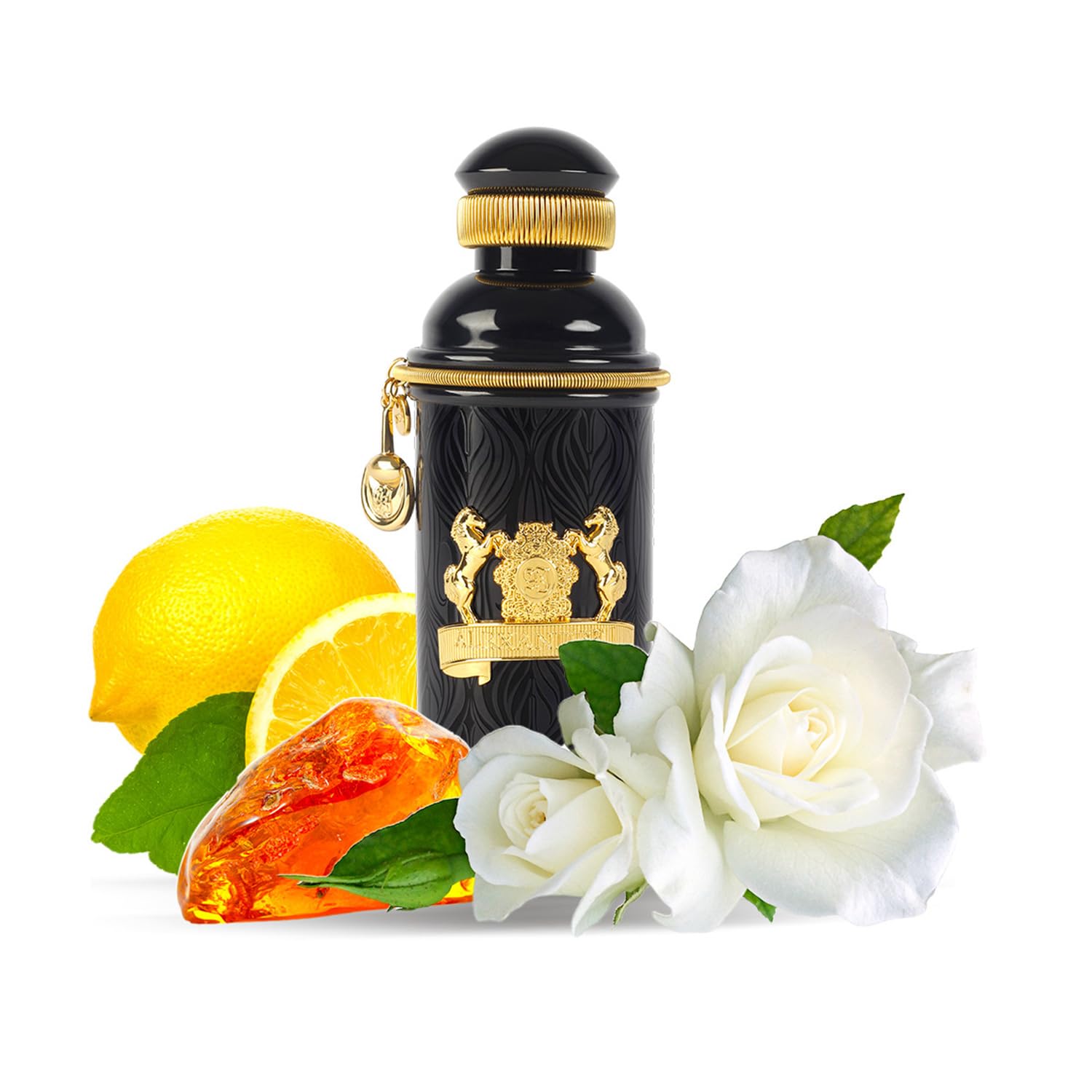 Alexandre J Black Muscs Eau de Parfum 100ml