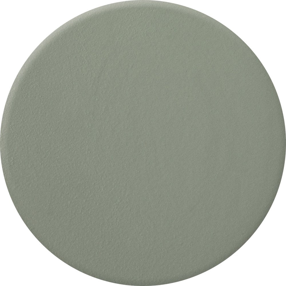 Zoya Nail Polish .5 oz Sage #781