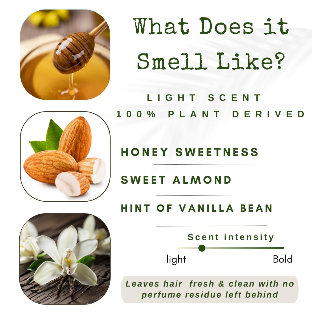 /liv/ Nature Conditioner Bar | Hydrating Conditioner Bar for Dry Hair | Argan Oil & Sweet Almond Oil | Travel Essential | USA 1-pk