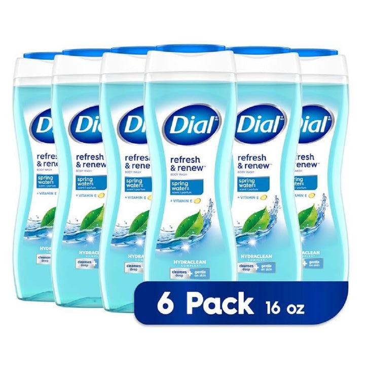 Dial Body Wash, Spring Water, 16 Ounces (Pack of 6)