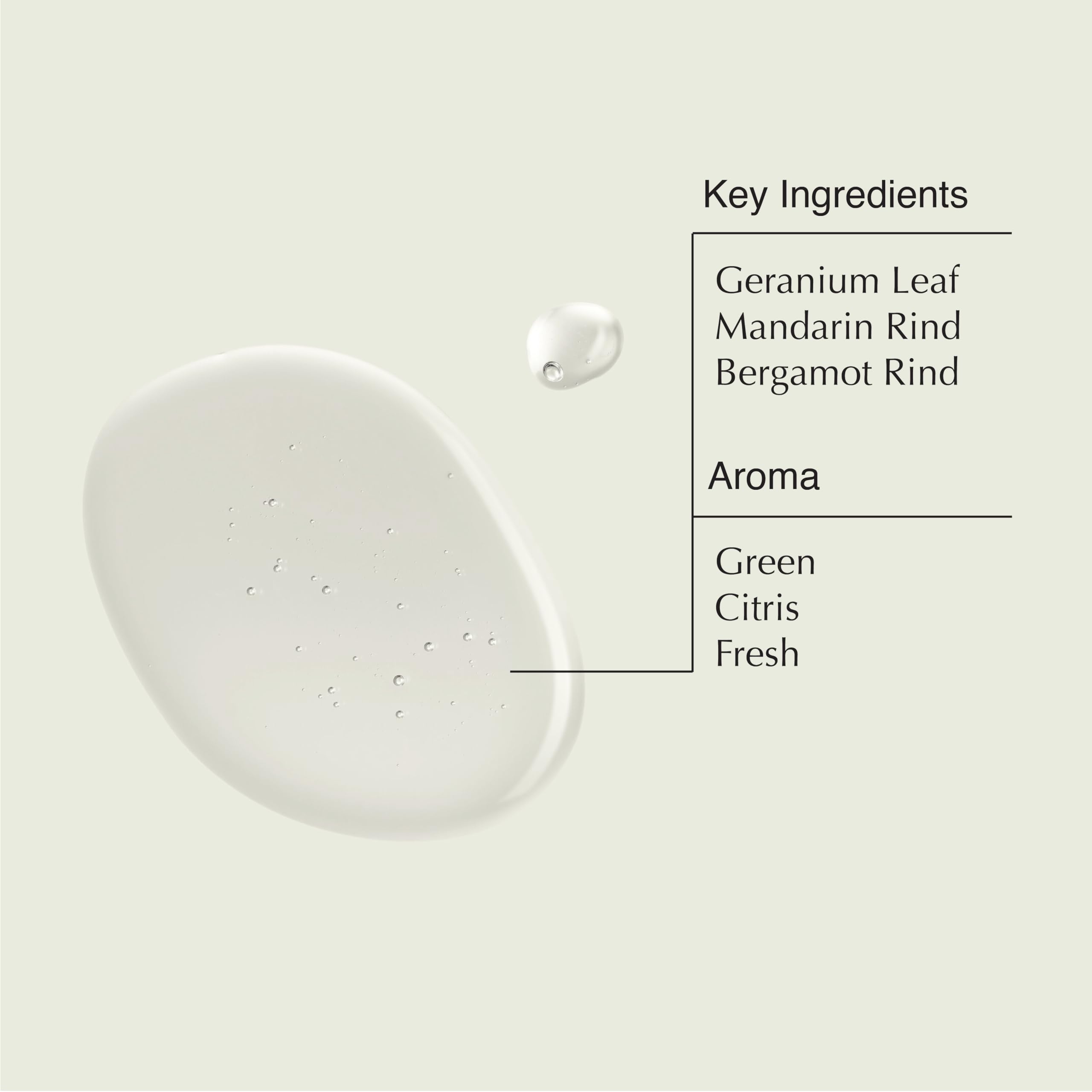 Aesop - Travel Set -Jet Set: Shampoo 50ml + Conditioner 50ml + Body Cleanser 50ml + Body Balm 50ml 4x50ml/1.7oz Aesop