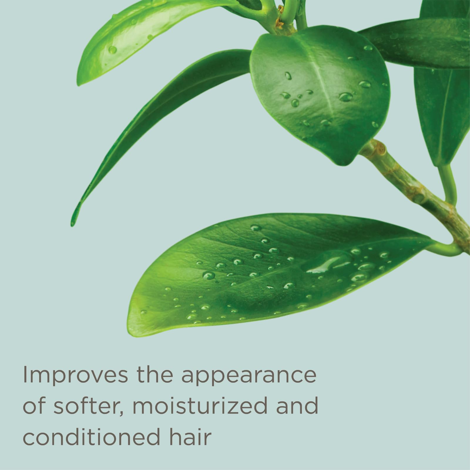 Hairitage Leave-in Conditioner Spray - Leave-In Hair Treatment - Detangles + Fortifies - Reduces Breakage + Deep Conditions, 6 fl oz