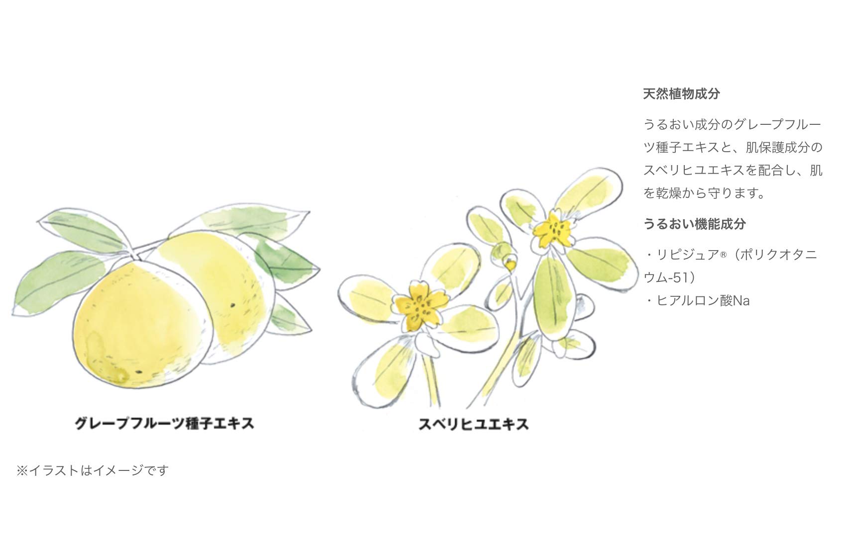 Muji Sensitive Skin Face Soap Foam 200ml6.762805 Fl Oz