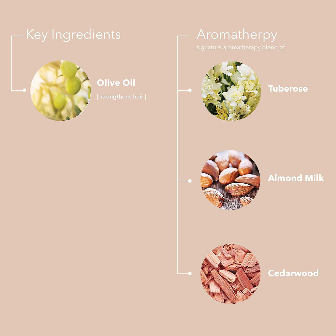 Pureology Style + Protect Lock It Down Hairspray | For Color-Treated Hair | Maximum Hold & Radiant Shine | Silicone Free | Vegan | Updated Packaging | 2.1 Oz. |