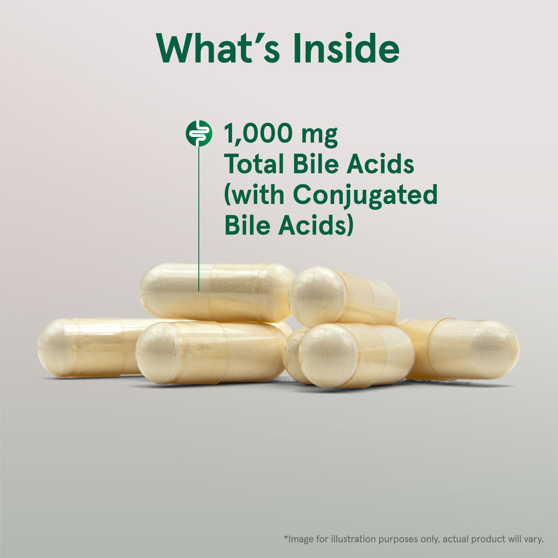 Jarrow Formulas Bile Acid Factors 1000 mg with Conjugated Bile Acids, Dietary Supplement for Digestion Support and Absorption of Fats & Fat-Soluble Nutrients, 120 Capsules, 30 Day Supply, Pack of 12