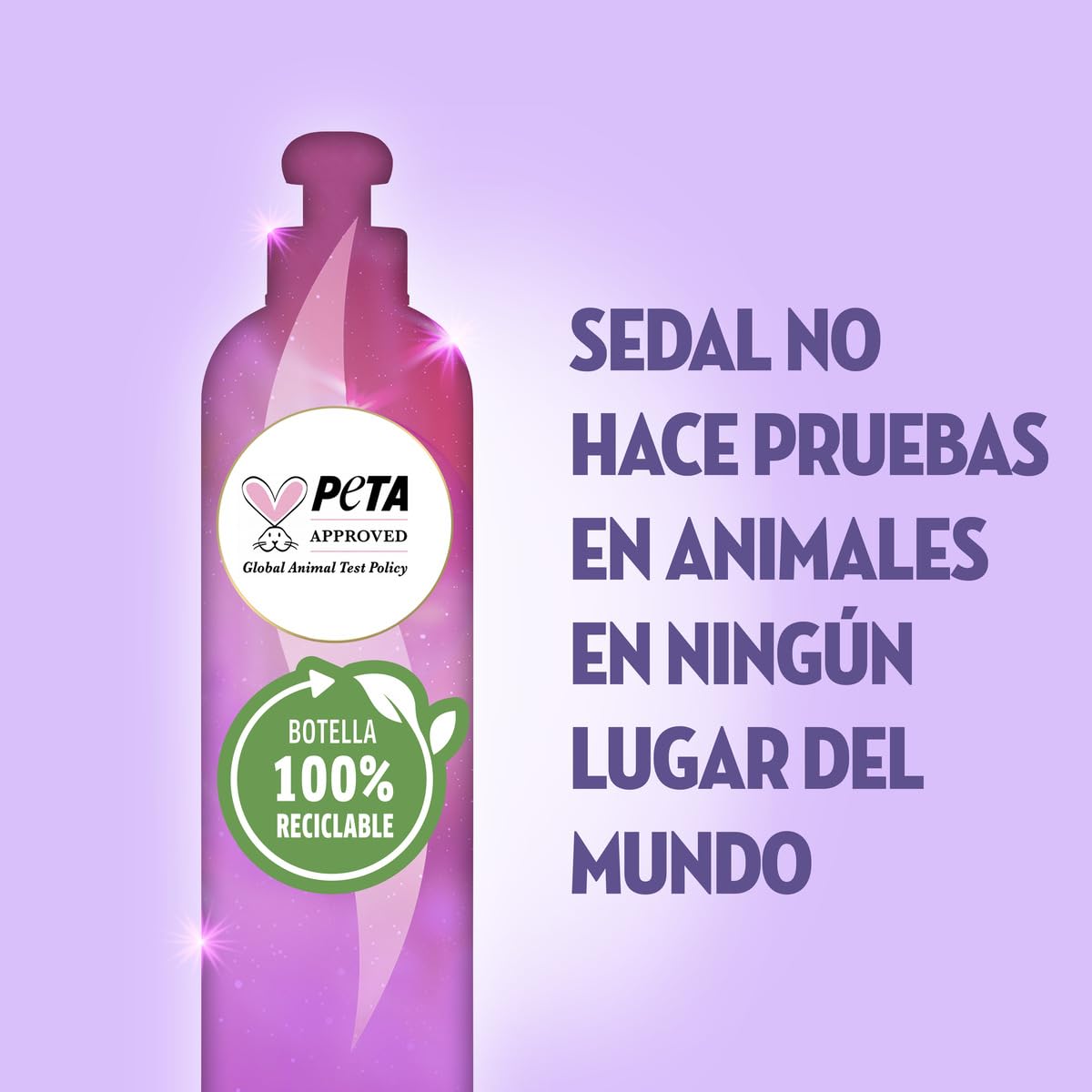 Sedal Liso Perfecto con proteina Hidrolizado 300 ml [SEALED]