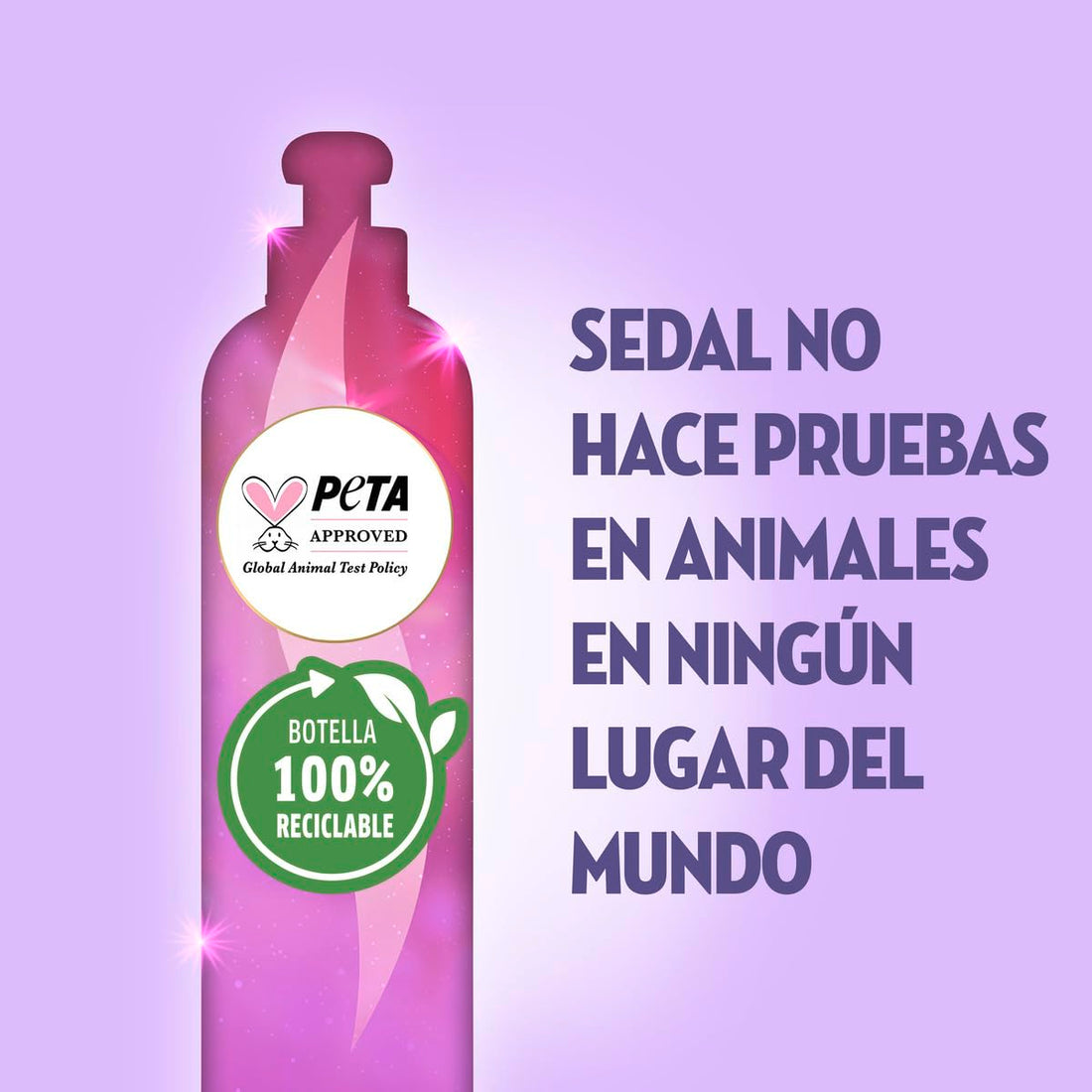 Sedal Liso Perfecto con proteina Hidrolizado 300 ml [SEALED]