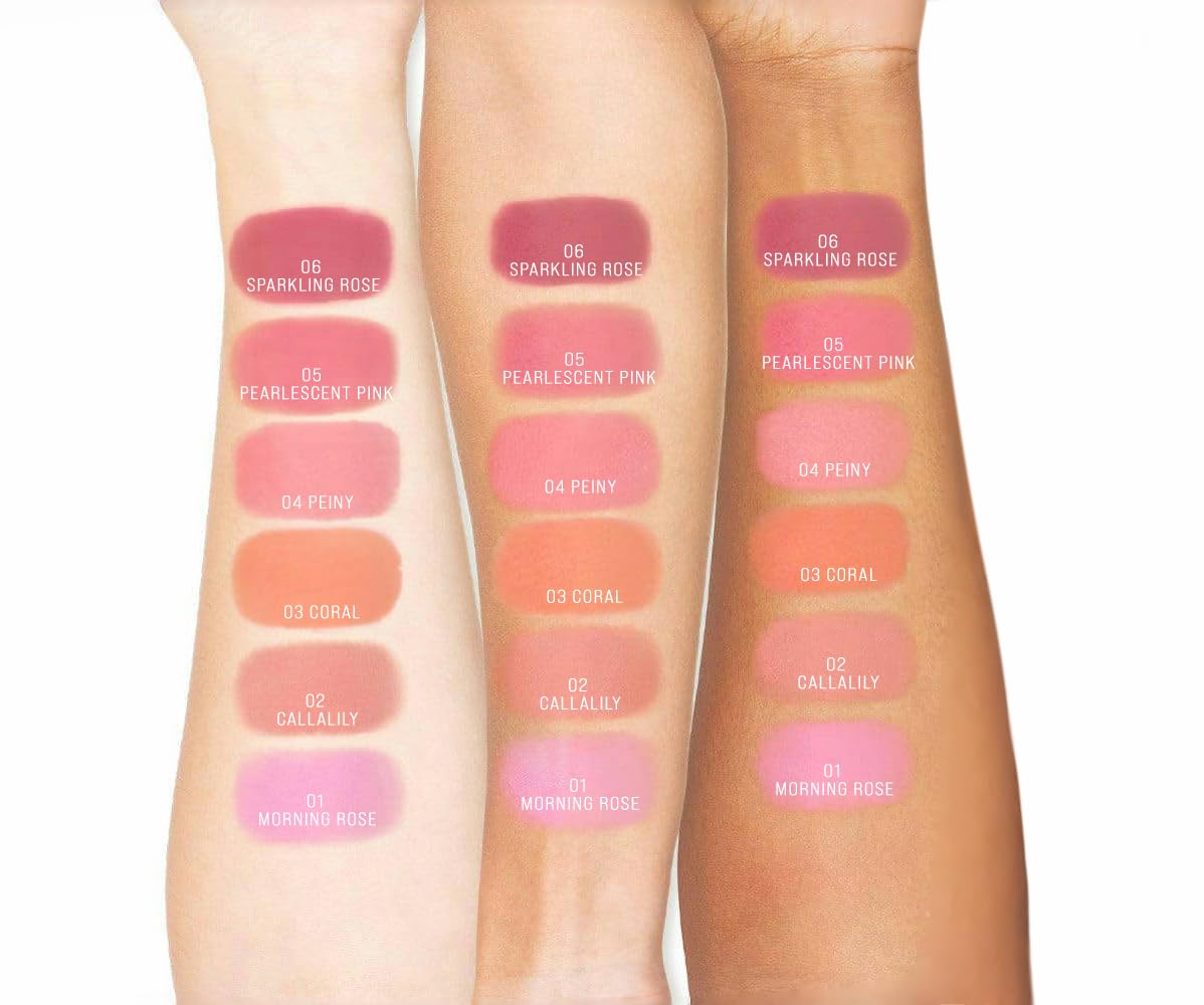 TINTARK Cheeky Blush Compact for Face Cheeks, Talc Free Blusher Palette, Matte Powder Makeup, Natural Healthy, Mauve Pink Magenta Peach Red, Vegan Cruelty Free