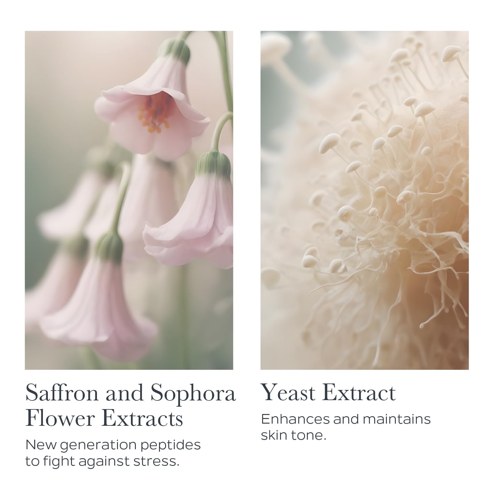 Sothys Wrinkle-Targeting Youth Cream 50ml / 1.69 fl Ounce