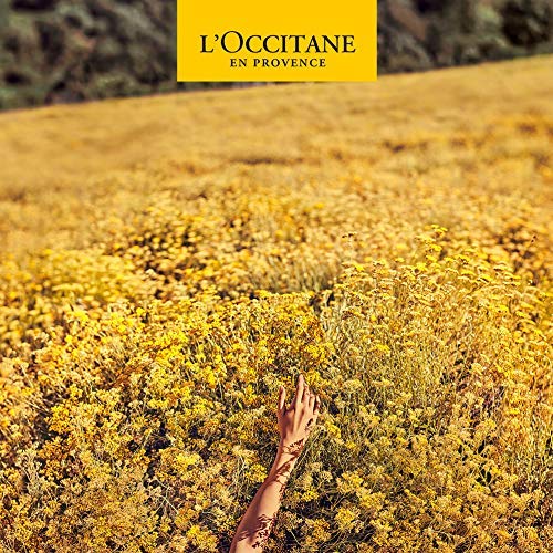 L'Occitane Cream-to-Foam Facial Cleanser Infused with Fig and Honey for Normal to Oily Skin