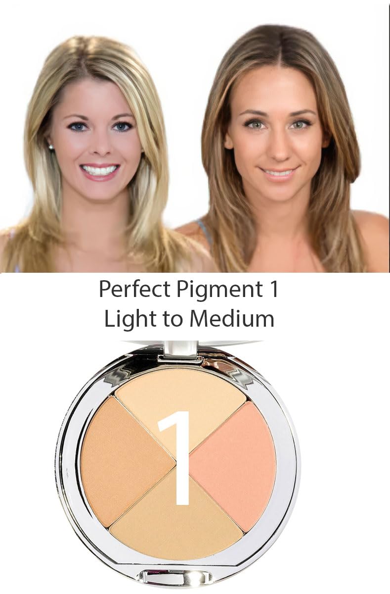 Christina Cosmetics Perfect Pigment 1 Compact: One Minute Miracle Makeup